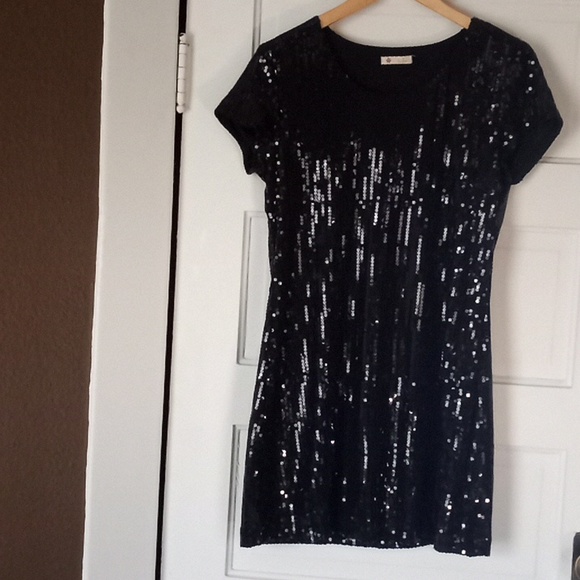 SOLD Anthropologie Dress Tulle Black Sequin Embellished Midi A-Line Stretch - Picture 4 of 12